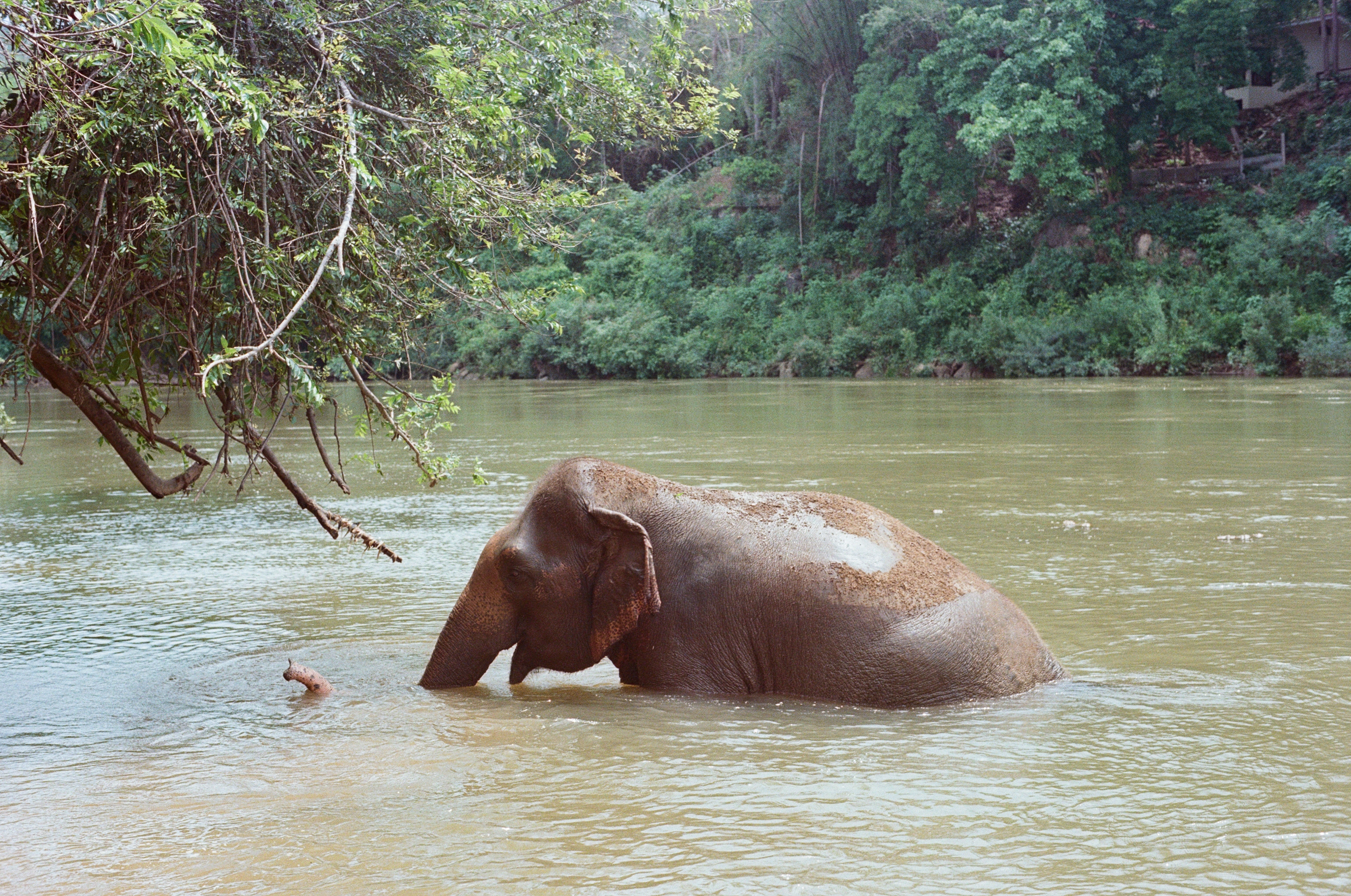 thailand