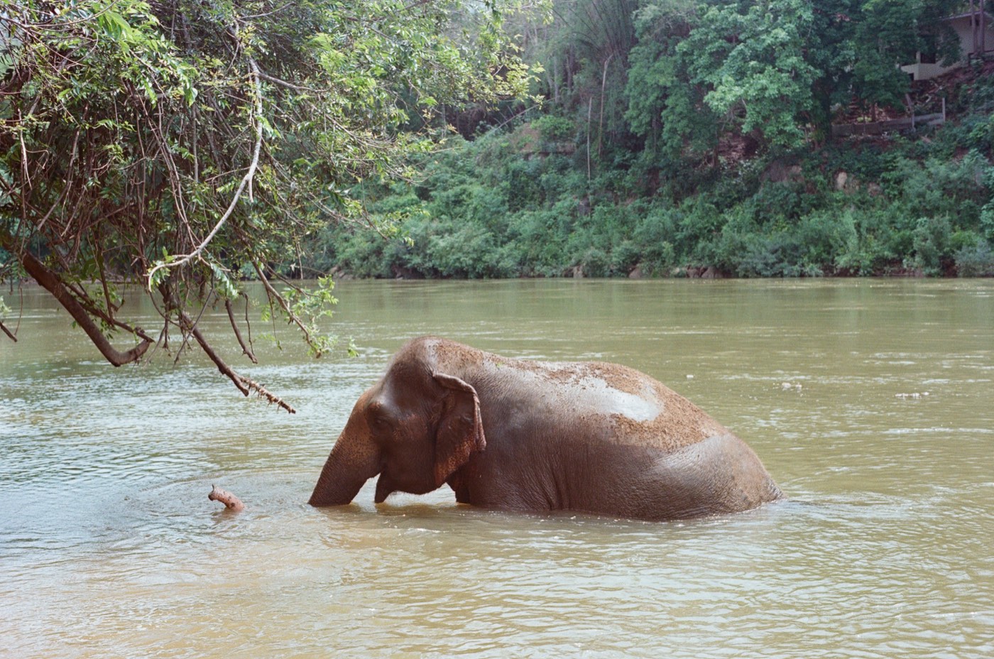thailand